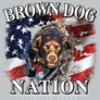 boykin spaniel grey brown dog nation
