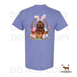 CB Boykin Easter 2025 Shirts