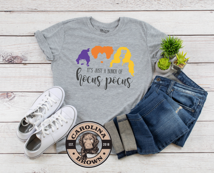 Just A Little Hocus Pocus t-shirt