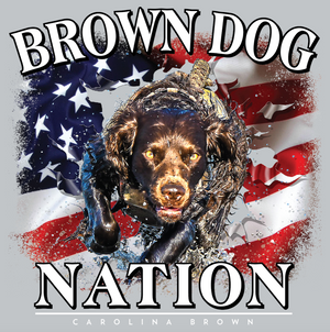 boykin spaniel grey brown dog nation