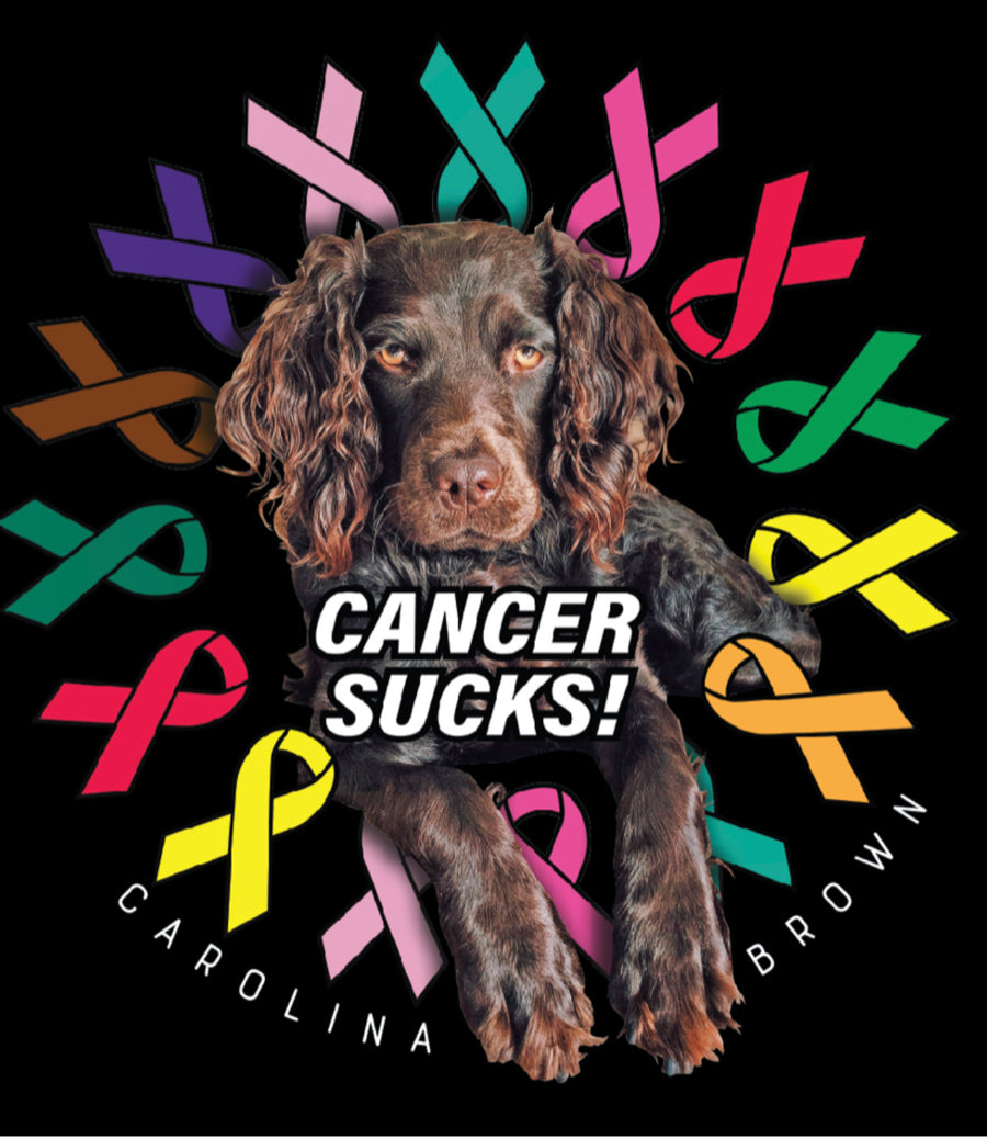 Cancer Sucks Boykin Spaniel T-Shirt